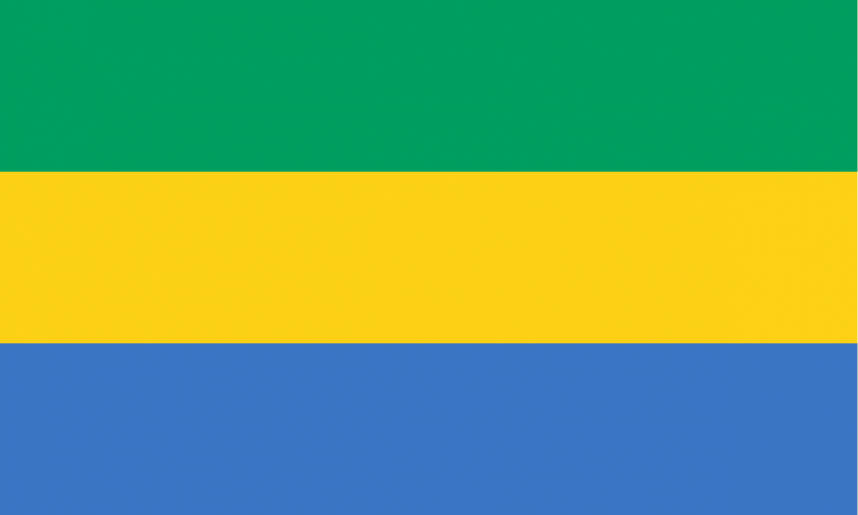 ガボン アフリカ 世界の国旗 デザインから世界を学ぼう