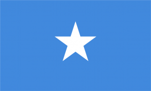 ガーナの国旗 アフリカ 世界の国旗 デザインから世界を学ぼう