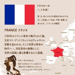 FRANCE フランス/1789年のフランス革命で掲げられた旗。王妃マリーアントワネットらはヴェルサイユ宮殿を追われる。そして世界は革命の時代へ…。市民革命の象徴として、世界の国旗に最も影響を与えた国旗。オランダの三色旗を参考にした。青は博愛 白は平等 赤は自由を表す。トリコロール（＝三色旗）