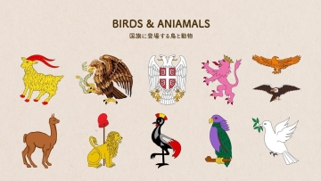 世界の国旗に登場する鳥・動物のイラスト図案を11個抜粋した画像。「BIRDS & ANIMALS」
